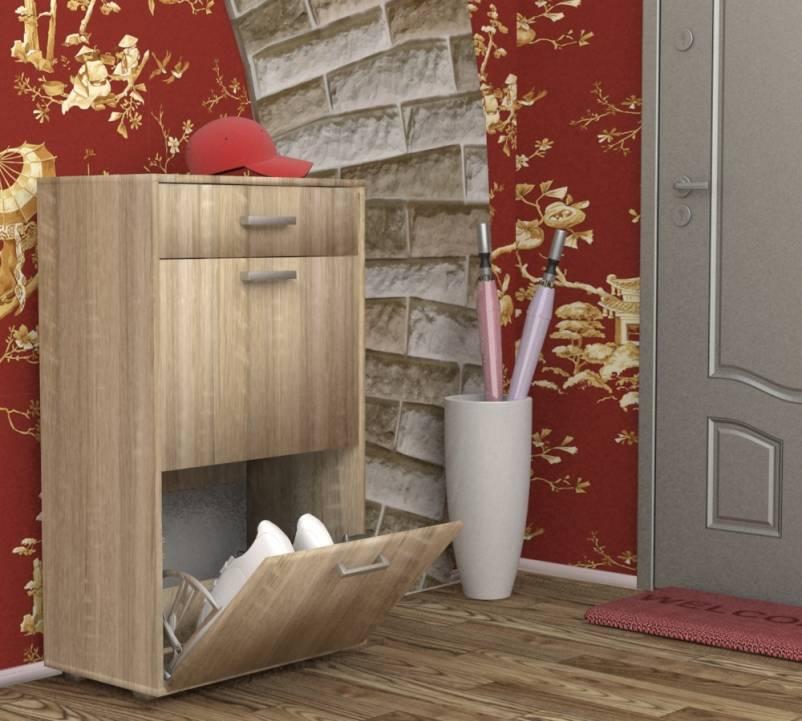 Фото Обувница ОБ-2 от производителя Пирамида в Джанкое по цене 5&nbsp;060 ₽