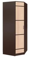 Шкаф Сакура (88) угловой (венге, лоредо-венге,(БТС)) в Джанкое от производителя 