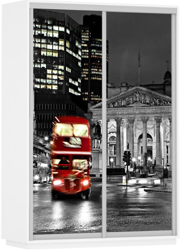 Фото Шкаф-купе Экспресс Дуо Фото (1,6х0,6х2,2 - 2 двери) от производителя Мебельная компания Е1 в Джанкое по цене 39 840 ₽