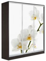 Шкаф-купе Оскар 3 (1,77х0,6х2,4 - 3 двери) в интернет магазине Планета Комфорта Фото shkaf-kupe-s-fotopechatyu шкаф-купе оскар 3 (1,77х0,6х2,4 - 3 двери) производитель Мебель Маркет