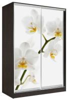 Шкаф-купе Оскар 2 (1,5х0,6х2,3 - 2 двери) в интернет магазине Планета Комфорта Фото shkaf-kupe-s-fotopechatyu шкаф-купе оскар 2 (1,5х0,6х2,3 - 2 двери) производитель Мебель Маркет