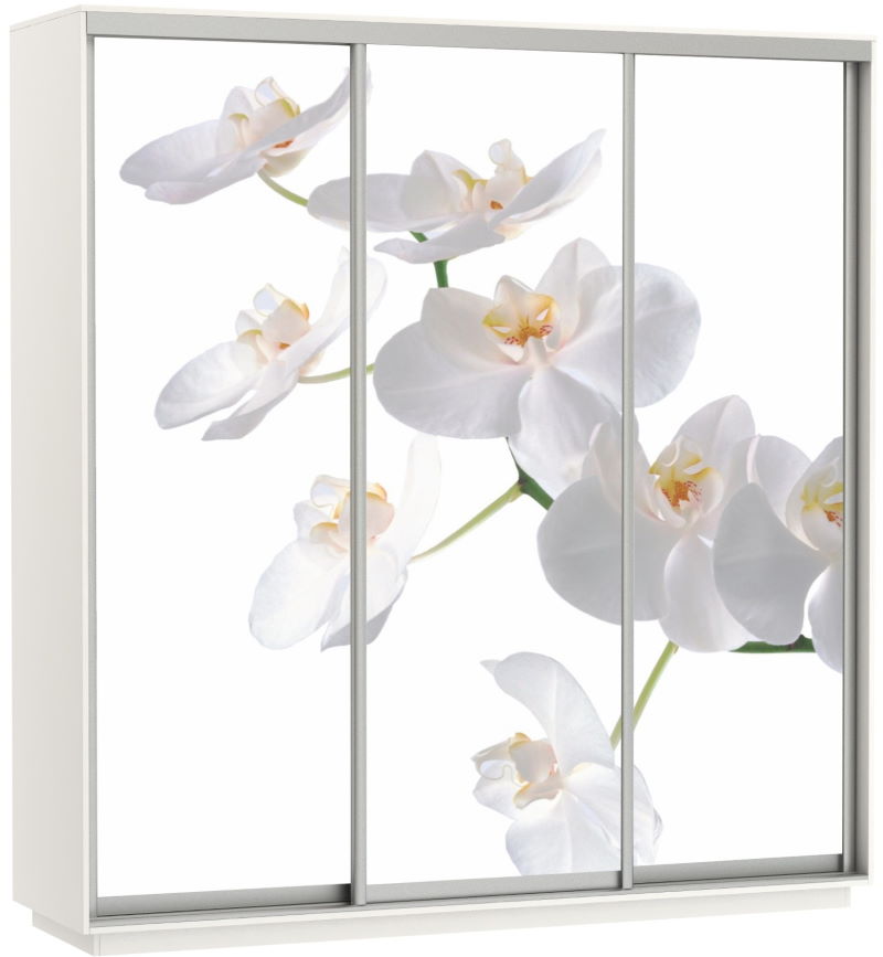 Фото Шкаф-купе Экспресс Трио Фото (2,4х0,6х2,4 - 3 двери) от производителя Мебельная компания Е1 в Джанкое по цене 63 870 ₽